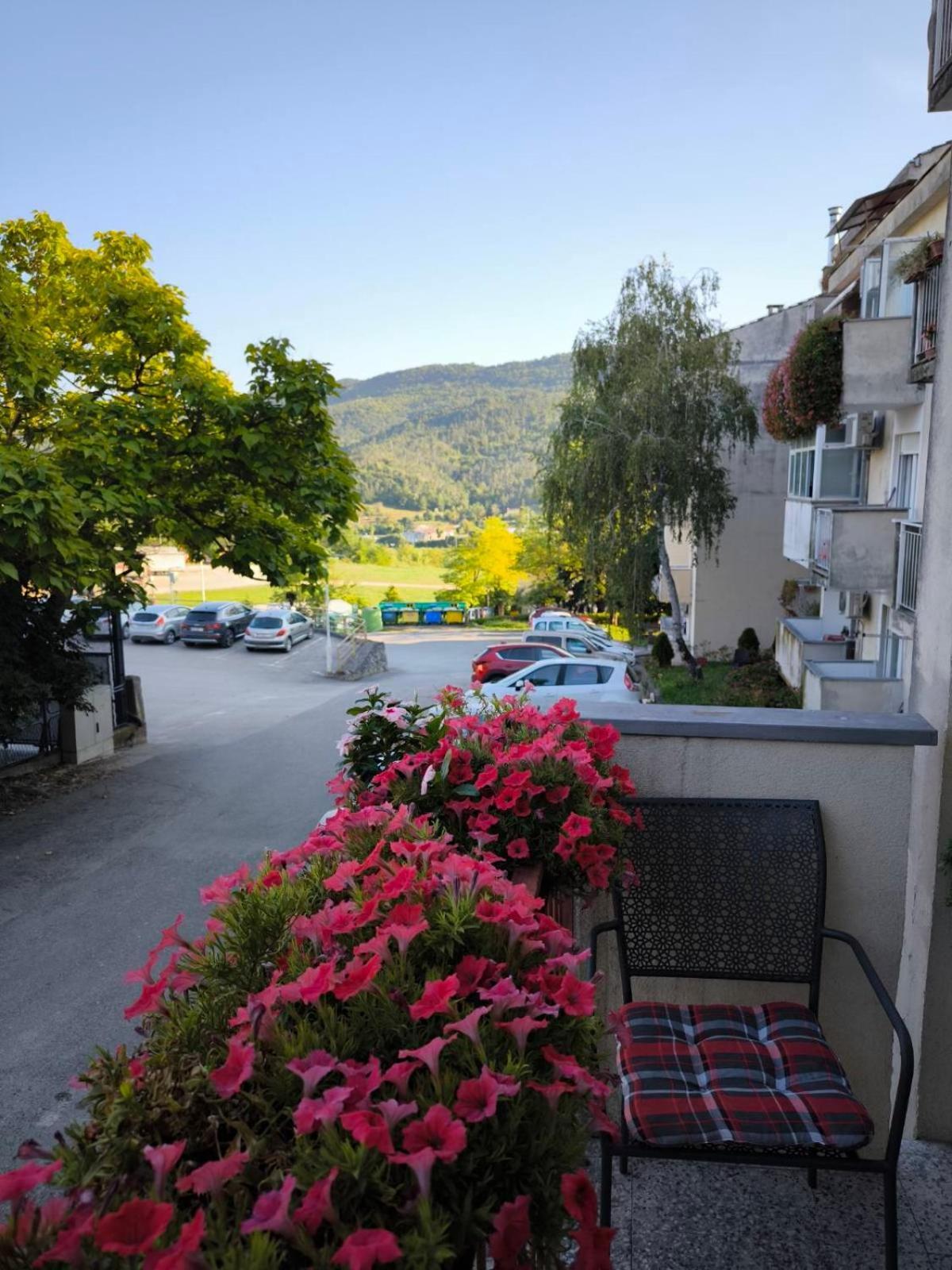 Apartman Snjeska Buzet Extérieur photo